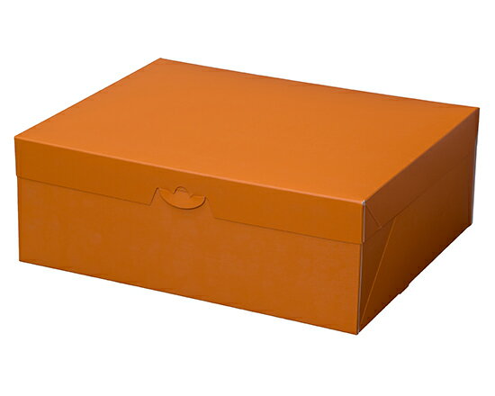 ORオールマイティBOX 6号 / 1枚【 富澤商店 公式 】