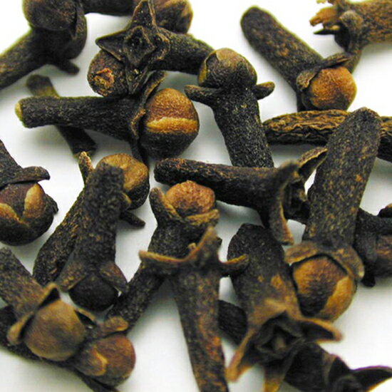 GABAN�������֥��ʥۡ���� / 10g�� ��߷��Ź ���� ��