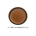 ケーキトレー 丸 SL-78M マロン / 10枚【 取り寄せ 】【 富澤商店 公式 】