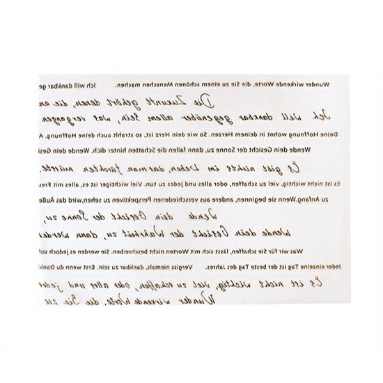 饷󥷡  祳顼 254190mm / 10 ߷Ź  