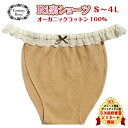 ふんどしショーツ【S～4L】オーガニック100％楽天2014グットアイテム賞ノミネート ふんどしパンツ トミーローズ【Ri楽ショーツ】ふんどし パンツ 女性用 ふんどしショーツ 綿100% レディース …