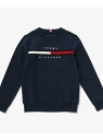 BOYS フラッグロゴトレーナー TOMMY HILFIGER トミーヒルフィガー トップス スウェット・トレーナー グレー ブラック ネイビー ブルー【送料無...