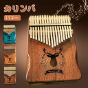 【クーポン利用で3,080円】カリンバ 親指ピアノ 最新版 karinba 17音 指ピアノ サムピアノ 初心者セット 日本語マニュアル ハンドオルゴール セット 専用ケース 民族 楽器 17キー マホガニー プレゼント ギフト キャンプ かわいい ディア 子供 楽器 天然木製