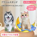 アクリルスタンド 写真 オーダーメイド 写真入り ペット オリジナル 猫 犬 プレゼント オーナーグッズ オーナーズグッズ アクリルスタンド アクリル サプライ...