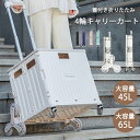 買い物カート ショッピングカート 折りたたみ 4輪 8輪 バッグ ショッピングバッグ キャスター付きシルバーカー おばあちゃん エコバック トートバッグ キャリーバッグ 買い物 アウトドア 旅行 ピクニック キャリーカート 敬老の日 段階上り 自在キャスタ