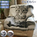 マルチカバー 両面使える 猫柄 虎 肘付き 肘なし 洗える ソファーカバー ひざ掛け 肩掛け 犬猫対策 ペット 冷房対策 オールシーズン 通年 汚れ防止 ブランケット テーブルクロス ベッドカバー インテリア おしゃれ 刺繍 新生活 プレゼント