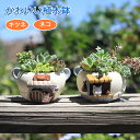 植木鉢 ねこ キツネ かわいい ガーデニングオブジェ 鉢植え フラワープランター 多肉植物 サボテン ミニ プランター おしゃれ 可愛い プレゼント ギフト