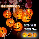 ハロウィン 飾り付け カボチャ LEDライト ストリングライト 灯篭 吊り飾り LEDイルミネーション 20球 3m 電池式 LED電球 パーディー 電飾 点灯/点滅 ハロウィン飾り 装飾 玄関 屋外 室内 デコレーション インテリア用品 庭対応 パーティー Halloween 雰囲気作る 子供