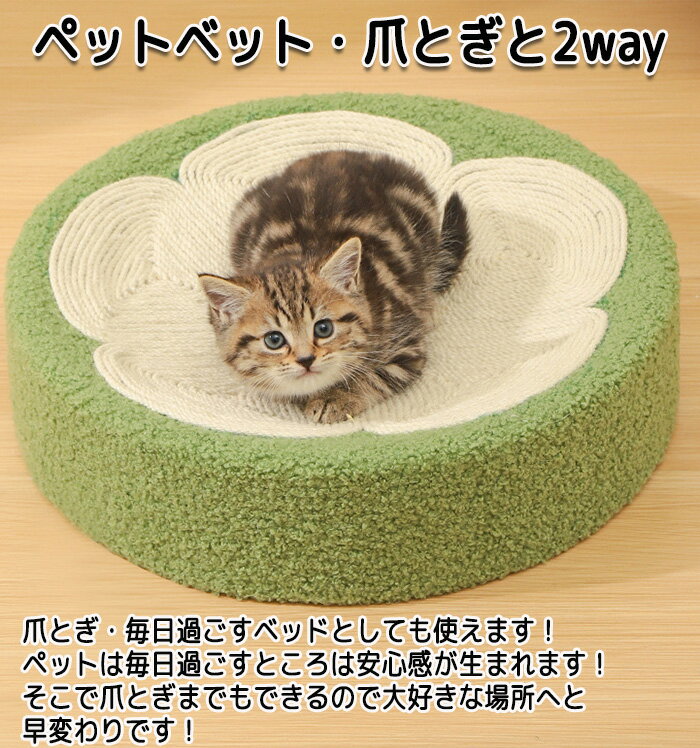 ペットベッド サイザル麻 オールシーズン ペッ...の紹介画像2