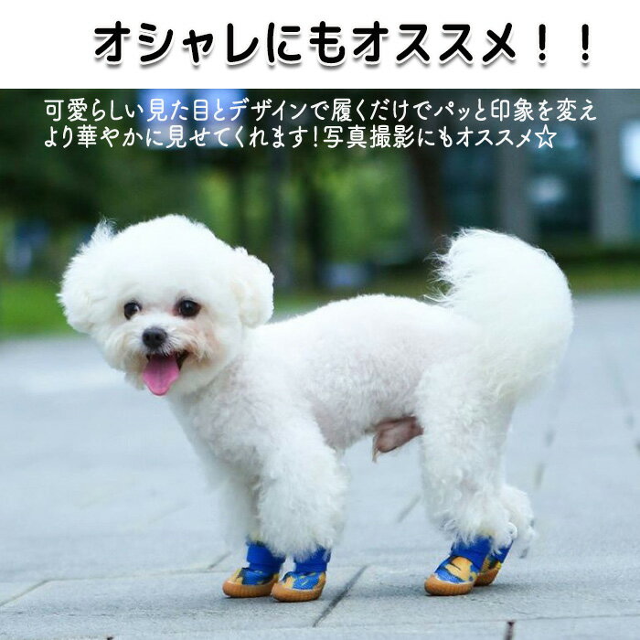 �ɥå����塼�� �����塼�� ���� �ɥå��� �ɥå��� �� ���餫�� ������ ���ߤ� �����䤹�� �� ���� �뤵�к� �����к� ���ѥ֡��� �ڥå����� �����ɻ� ���� �����ɻ� ���ߤ�ù� ��å��� ��� �������䤹�� æ���夷�䤹��