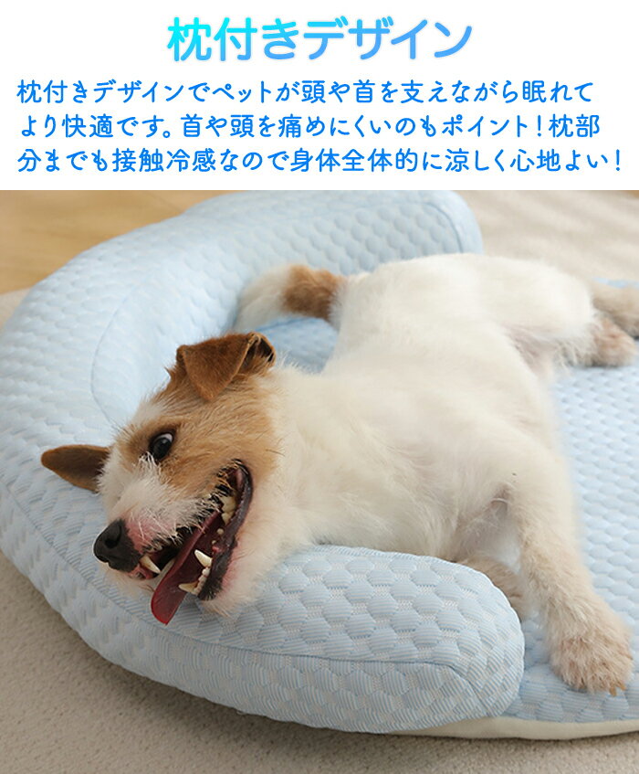 �ڥåȥ٥å� �䴶�ܿ� ���� �ܿ��䴶 ���դ� ������٥å� �ô� �ä��� �����Τ� ���С���곰�������� ��ǭ���� �ΰ�ʬ�� �Ҥ��� �ڥå� ���ե��٥å� �� ǭ ���� �ͤ� �ڥåȥ٥å� ������Ÿ��˭�� �뤵�к� Ǯ����к� �߷� �� ��Τ� ���� �淿 ���С������� ������ǽ