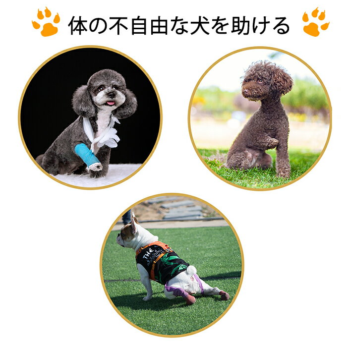 �� �ϡ��ͥ� ����ѥϡ��ͥ� ���ȥ��ݡ��� ������ ������ �淿�� Ϸ�� Ϸ�� ��­ ���­ ��� �ڥå��� �������ϡ��ͥ� ���ѥϡ��ͥ� æ���ñ Ĵ���ǽ ���� ��� ������ �µ� ��� ��ϥӥ� ���餫�� �̵��� ȿ�ͺ�ǥ�����