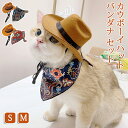ペット用帽子 キャットウェア 2点セット ハット 猫 カウボーイハット 帽子 猫用 ウエスタン ハット 猫服 ねこ ねこちゃん帽子 つば広 ペットハット ペット...