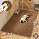ペットマット 爪とぎ 洗える 爪とぎマット 爪とぎ 爪研ぎ 猫用 猫 犬 ラグ 夏用 ラグマット 夏 厚手 ズレない 滑り止め 滑らない サイザル麻 ペットラグ...