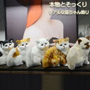 リアルな猫飾り お座り猫 ぬいぐるみ 猫 ぬいぐるみ 置物 ぶらさがり よじ登り猫 リアル猫 子猫 猫の置物 猫のぬいぐるみ 猫の雑貨 ねこ 縫いぐるみ リアル 本物 そっくり ペット プレゼント ギフト 子供 誕生日 おしゃれ 三毛猫