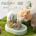ハムスター 自動給餌器 小動物 自動給餌器 食器 ハムスター用 餌入れ 水飲み 食器 ハリネズミ 給水器 自動 餌やり 水やり食べやすい おしゃれ