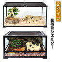 シェルター 頭蓋骨シェルター 隠れ家 バスキングスポット頭蓋骨 棲家 トカゲ 亀 両生類 魚 爬虫類 昆虫 虫 守宮 景観造り ストレス解消 シミュレーション 汎用