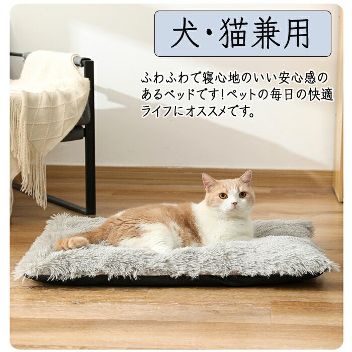 �ڥåȥ٥å� ǭ�٥å� ���٥å� �ڥåȥ��å���� �ڥåȥޥå� �դ�դ� �������٥å� ���� ������ ǭ������ �ڥåȥ٥å� ���С���곰����ǽ �����륷������Ȥ���٥å� ���ߤ� ���餫 Ĺ�ӥ��㥮�� ���� �ڥåȥ��ե��� �Ҹ� ������ �淿�� �緿�� �� ǭ ���� �ͤ�