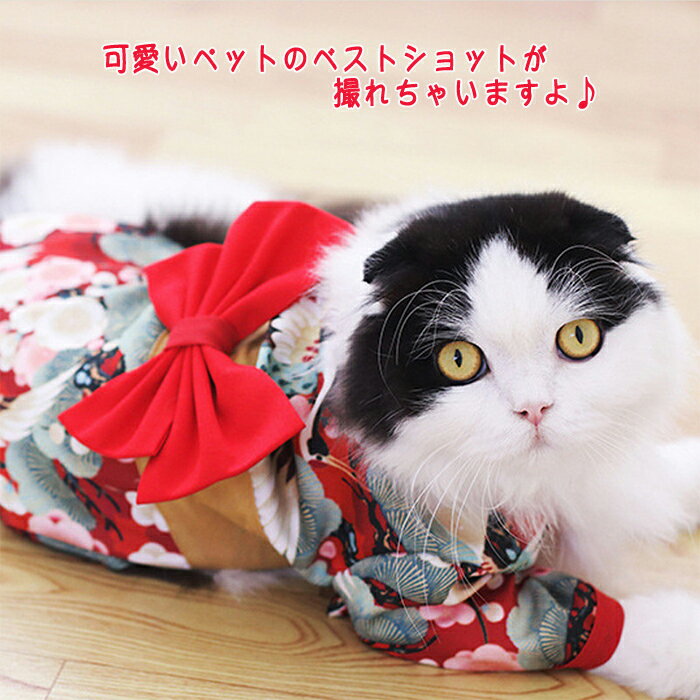 �ڥå���ʪ �ڥå��� ��ʪ ǭ �� ǭ��ʪ ����ʪ ǭ���� ������ �ڥåȰ��� ���� ������ ������ ��� ǯ��� ��ǰ�� �뺧�� ���פ� ������� ��ǰ���� �������塼�� �����ץ� �ڥåȥ����ץ� �ڥåȥ������塼�� �ɥå������� ���ˤ� ������ ���� �淿�� �ڤ䤫 ������ �뺧��