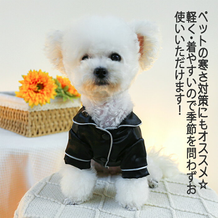 �ڥå����� �ڥåȰ��� �ڥåȥ����ץ� �ڥåȥѥ���� �ɥå������� �ڥåȥ롼�०���� �ܥ����դ� ���դ� �ڥå� �� ǭ ������ ���ѥ���� ���롼�०���� �롼�०���� ǭ�ѥ���� ǭ�����ץ� �������ץ� ���ˤ� �̿����� ��ǰ���� �������塼�� �����ץ� ����ץ�