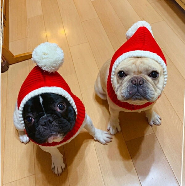 ペット帽子 犬用 猫用 サンタ帽子 ペット コスプレ サンタクロース ペット服 被り物 ニット帽子 クリスマス 赤 秋冬 防寒 可愛さ100倍 可愛いペット変身 ペットウェア ハロウイン ペット用品 撮影道具 ギフト クリスマス コスチューム お散歩 お出かけ 小型犬 中型犬 3
