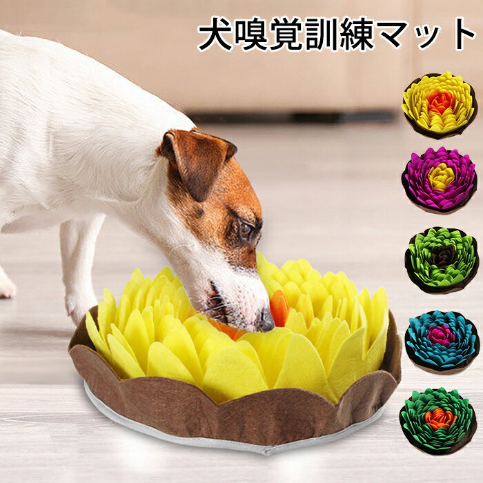 ̤ޥå ڥåȤޤ   Ρ Ρޥå ڥåȷ 줪 Υȥ졼˥󥰥ޥå ̳з...