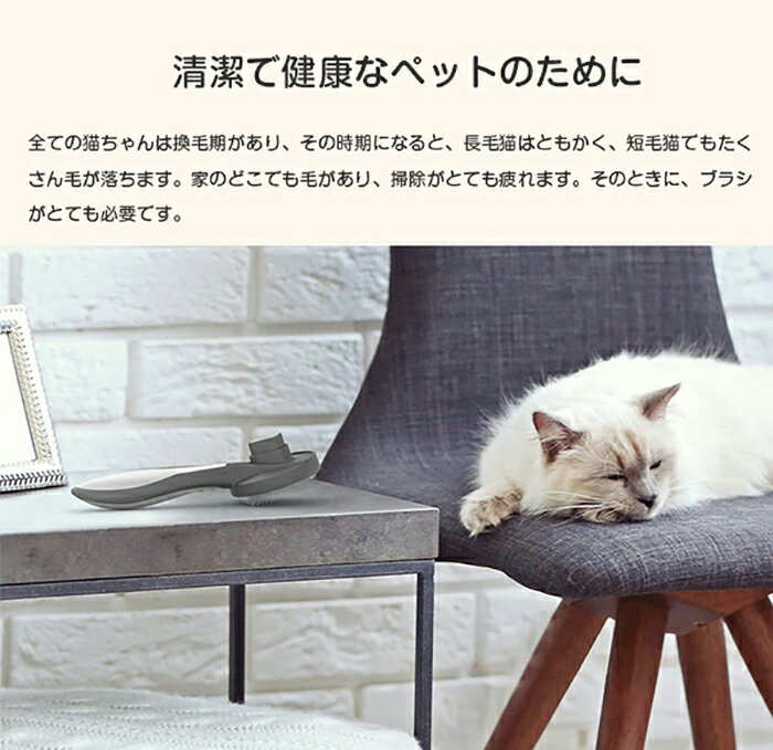 �ڥåȥ֥饷 ǭ ���ꥳ�� �ڥå��ѥ֥饷 ȴ���Ӽ�� �Ӽ�ꥳ���� �ޥå����� �֥�å��� �ڥå����� �� ǭ �ڥå� �֥饷 ���� �淿�� ǭ�� Ĺ��û�ӷ��� �ݽ������顼 ��������ǽ �����֤����� �������� �ݽ��� �ŵ����� Ǵ��ơ�������