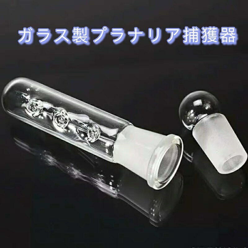 プラナリア捕獲器ガラス製 プラナリア 捕獲器 エビ水槽用品
