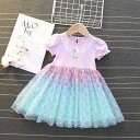 子供プリンセス ワンピース 女の子 半袖 ドレス お誕生日 クリスマス プレゼント キッズ コスチューム ハロウィン パーティー 仮装90cm 100cm 11...