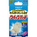 デルガード クイックパッド 大きめサイズ 6枚 【管理医療機器】