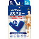 バンテリンコーワリカバリー 腕用 ふつう~大きめサイズ ブリリアントブルー 2枚