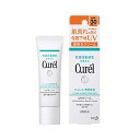 キュレル 潤浸保湿 ベースクリーム クリア 30g