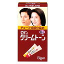 ビゲンクリームトーン6G 40g+40g
