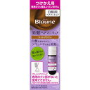 ブローネ美髪ヘアマニキュア 付替用 72.0g
