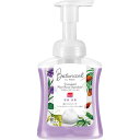 泡ミューズボタニカル本体 250ml