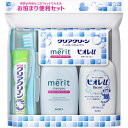 クリアクリーン 携帯用 お泊り便利セット 1セット