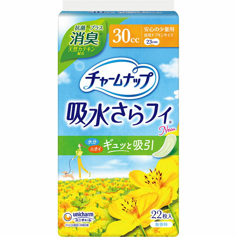 チャームナップ安心の少量用消臭タイプ 22枚