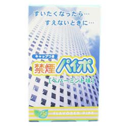 禁煙パイポ ペパーミント味 3本入