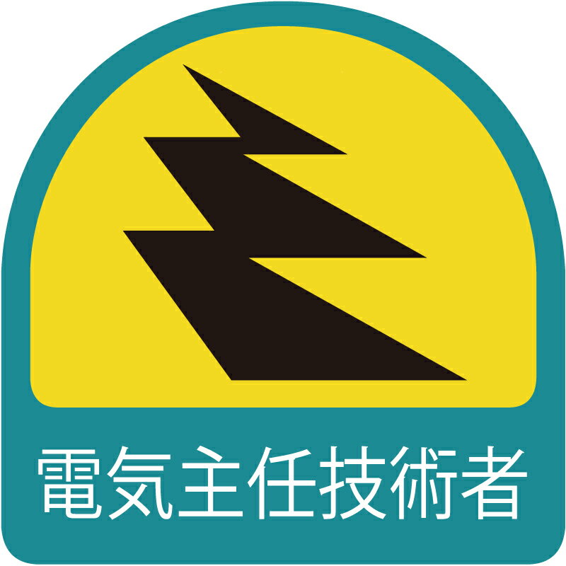 851-50　ヘルメット用ステッカー　電