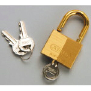 Rakuten - 859-69　ロックシステム　南京錠　同一キー　6.5×21×21mm　スペアキー2個付