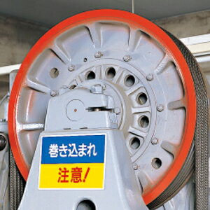 807-06���Ϥ��ޤ졦�������ޤ�����ɸ�����ֲ�žʪ���աס�������˥ܡ��ɡ�225��300��1.2mm��UNIT ��˥å�