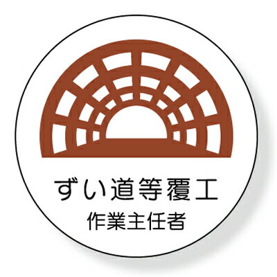 370-28　ヘルメット用ステッカー　ず