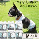 【最大990クーポン配布中】ランキング1位 2冠達成 ペット用おむつ M 12枚×6個セット 犬用 オムツ 男の子 オムツ犬 犬 マナーパンツ オス 犬おむつ マナーベルト 使い捨て 犬のオムツ 犬オムツ ペットオムツ ペットおむつ 犬用オムツ 犬用おむつ オス 雄