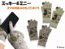 ミッキー マウス ミニー マウス 婦人 ニット 手袋 フェイス柄 ふわふわ もふもふ 二重 防寒 大人 かわいい レディース キャラクター おすすめ グローブ ...