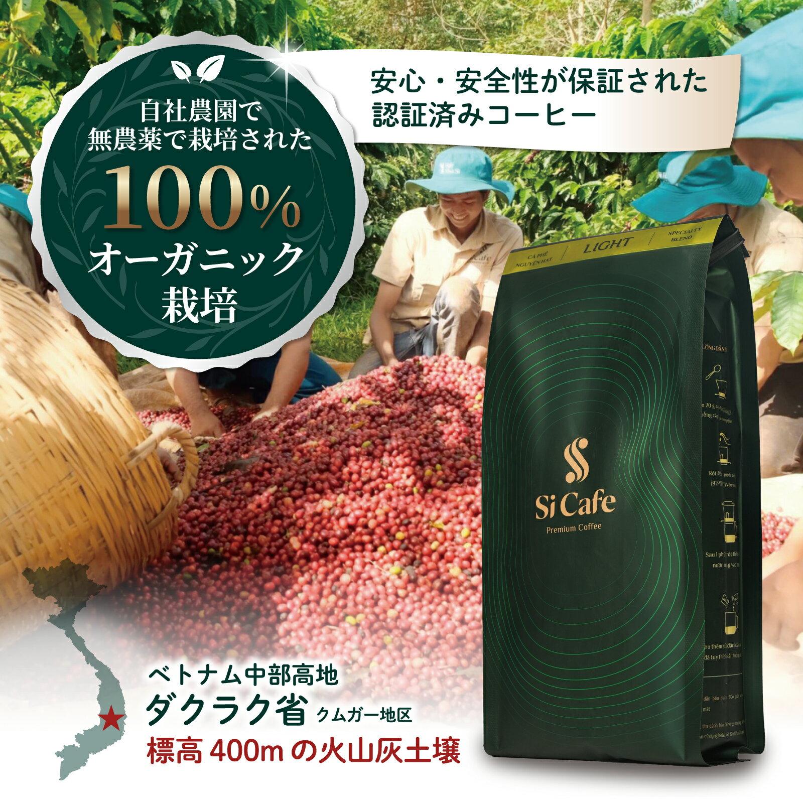 Si Cfe LIGHT コーヒー豆 珈琲豆 オーガニック 送料無料 中深煎り 140g ブレンド(ロブスタ種×アラビカ種) ベトナム産100％
