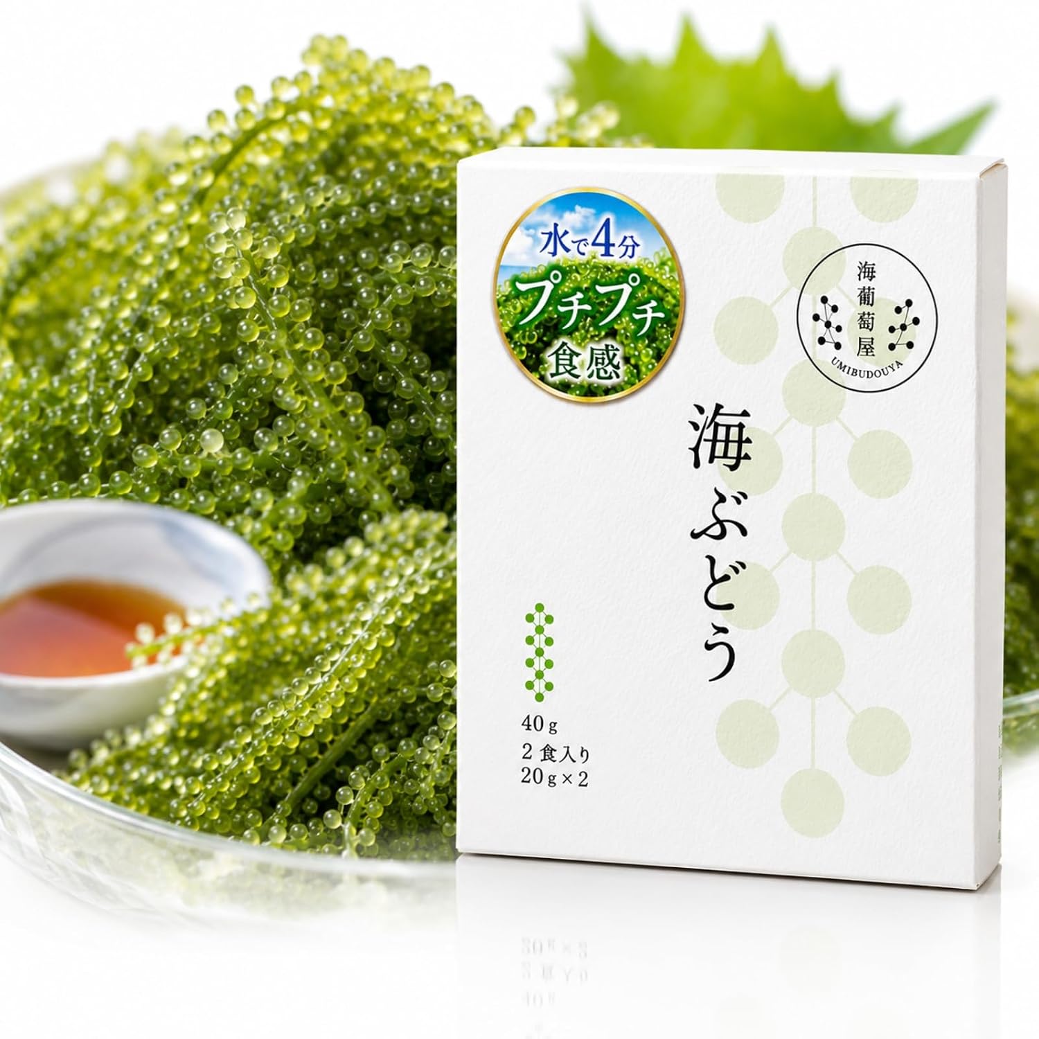 楽天市場】海ぶどう2kの通販