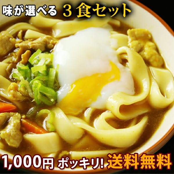 1000円ポッキリ 【大人気商品】本なま麺　ほうとう　だし味噌orカレー　3食セット 【メール便のため代引き・日時指定不可】信州ほうとう ほうとう鍋 お取り寄せ】【熨斗対応不可】 送料無料(※北海道、九州、四国、は別途送料加算となります)