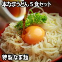 特製本生ざるうどん　5食(※麺つゆは付きません) 業務用 食べ物 送料無料(※北海道、九州、四国、沖縄は別途送料加算となります) お中元 御中元 ギフト プレゼント