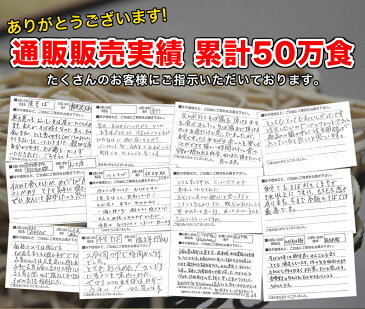 敬老の日ギフト 本なま釜揚げうどん 1食分　特製つゆ付き 業務用 食べ物 敬老の日