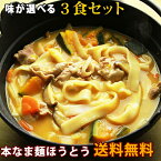 【大人気商品】 本なま麺　ほうとう　3食セット　2種類の味から選べるだし味噌orカレースープ付き 生麺 お取り寄せ 山梨 ほうとう鍋 おざら 送料無料(※北海道、九州、四国、沖縄は別途送料加算となります) ギフト プレゼント